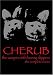 Cherub, the Vampire with Bunny Slippers