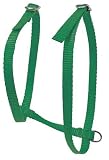 Pet Supplies : Cat Harness Green