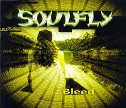 Soulfly Photo 9