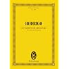 Concierto de Aranjuez: (1939) for Guitar and Orchestra (Schott)