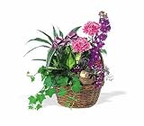 Teleflora