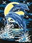 Dimensions Learn To Paint! Paint By Number Kit 9 Inch X12 Inch -Moonlight Dance