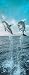Brewster 2-1203 Dolphins 2-Part Door Mural, 3-Foot 2-Inch by 7-Foot 3-Inch