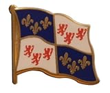 Pin's (épinglette) Drapeau France Picardie - 2 x 2 cm