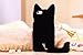 iPhone 6 Plus Case,DELELE Fashion Cute 3D Cat Shaped Ear Fluffy Plush Fur Soft TPU Case with Soft Tail for iPhone 6 Plus 5.5 inch (Black)