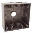 Raco 5345-0 Two-Gang 5-3/4-Inch Outlets Weatherproof Box, Gray