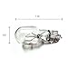 ETOPLIGHTING T5BULB12V4W-10P 12V 4W T5 Wedge Bulb (Set of 10)