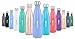 ICONIQ Stainless Steel Vacuum Insulated Water Bottle, 17 Ounce (Periwinkle)