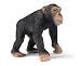 Schleich Chimpanzee Male 14189