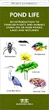 Pond Life (Pocket Naturalist Reference Cards)