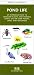 Book Pond Life (Pocket Naturalist - Waterford Press)