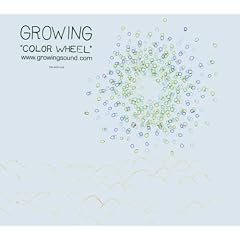 Color Wheel