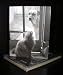 Talk to the Paw! Birthday Greeting Cards - Cat's motto