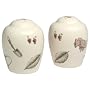 Pfaltzgraff Naturewood Stoneware Salt and Pepper Set