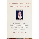 The Spirit Catches You and You Fall Down