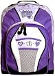 American Princess Purple Trendy Multipurpose Sporting Backpack/ School Backpack/ Outdoor Backpack