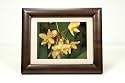 SmartParts SP800 8-Inch Digital Picture Frame