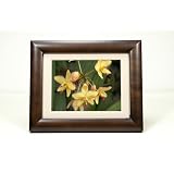 SmartParts SP800 8-Inch Digital Picture Frame