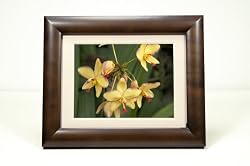 SmartParts SP800 8-Inch Digital Picture Frame