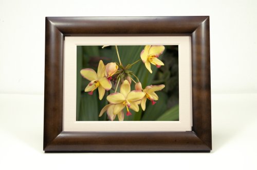 SmartParts SP800 8-Inch Digital Picture Frame