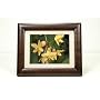 SmartParts SP800 8-Inch Digital Picture Frame