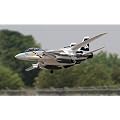 F-14 TOMCAT KAMPFJET FLUGZEUG JET F-15 F-16 F-18 RC FZI