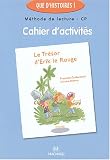 Le trésor d\'Erik le Rouge : Cahier d\'activités CP