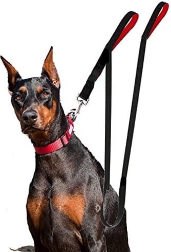 Heavy Duty Dual Padded Handle Dog Leash by Active Leashes - Long 8ft Lead - Ideal for Large to Medium Dogs