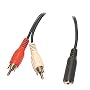 HOSA CFR-210 Stereo Female Mini to 2 RCA Male Plugs - 10 Feet