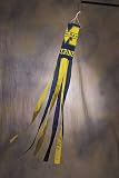 Michigan Wolverines Wind Sock - Set of 2