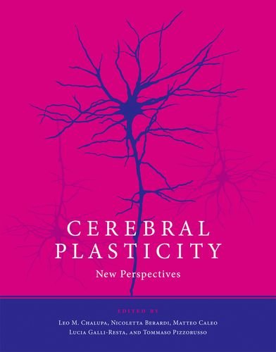 Cerebral Plasticity: New Perspectives (MIT Press)From The MIT Press