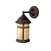 41W8%2BD0Jg2L. SL75  Trans Globe Lighting 50410 BRZ Outdoor 1 Light Black Bronze Outdoor Wall Mount