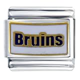 Ucla Bruins Licensed Sports Italian Charms Bracelet Link