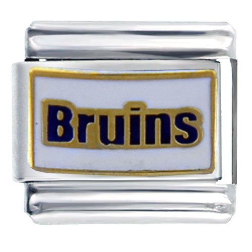 Ucla Bruins Licensed Sports Italian Charms Bracelet Link