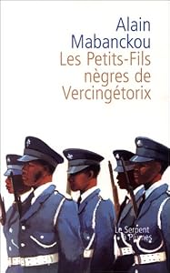 Les Petits-fils negres de Vercingetorix