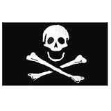 Pirate - Poison - Flag 3ft x 5ft Printed Polyester