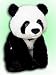 Plush Panda Bear 16