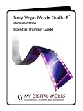 SONY BKAW570 Standard Video Interface Module