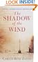The Shadow of the Wind