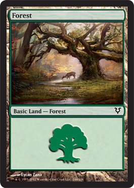 Magic: the Gathering - Forest (244) - Avacyn Restored - Foil