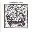 Widespread Panic