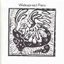 Widespread Panic