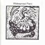 Widespread Panic