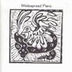 Widespread Panic