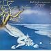 Forse le Lucciole Non Si Amano Pi