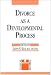 Book Divorce As a Developmental Process (Clinical Insights)