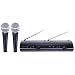  : SHURE T288 Twin Pro Dual Channel Wireless Microphone System