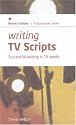 Writing TV Scripts: Successful Writing in Ten Weeks (Studymates Writers Guides)