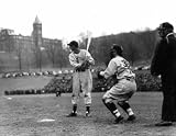 Ted Williams 1939 Boston Red Sox, Art Poster by National Archive