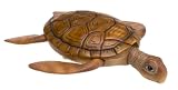 Rainbow Reef Turtles by Swimways (Colors May Vary)